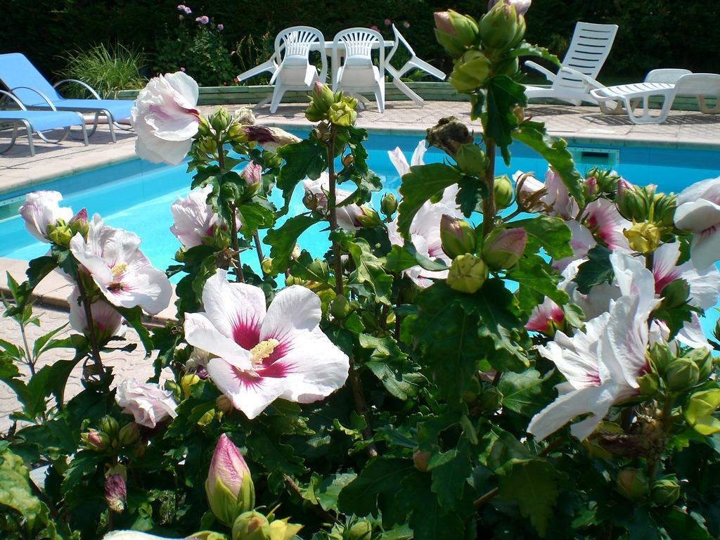 Chambres d'Hôtes Le Clos des Senteurs Malemort Exterior foto